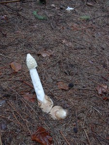 2001.08.05 13.06.58.jpg